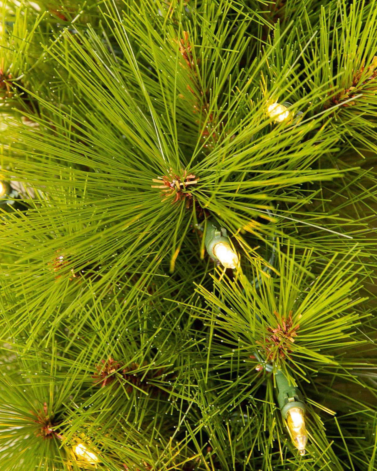 Árvore de Natal Verde Monterey Pine com Galhos Longos, Suporte Metálico e Micro LEDs Embutidos